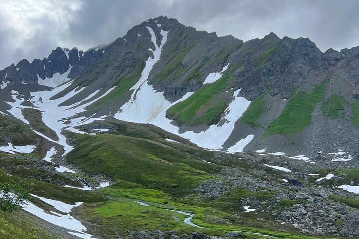 Mount Marathon Bowl Guided Hike — Seward Views & Race History photo 6