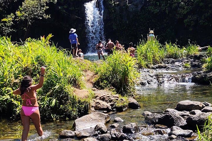 Halfway to Hana Private Tour — Black Sand Beaches, Waterfalls & Turtles from Kahului