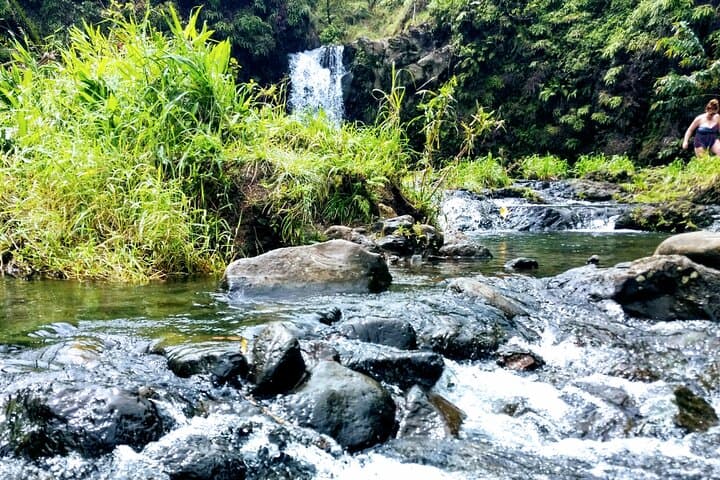 Halfway to Hana Private Tour — Black Sand Beaches, Waterfalls & Turtles from Kahului photo 3