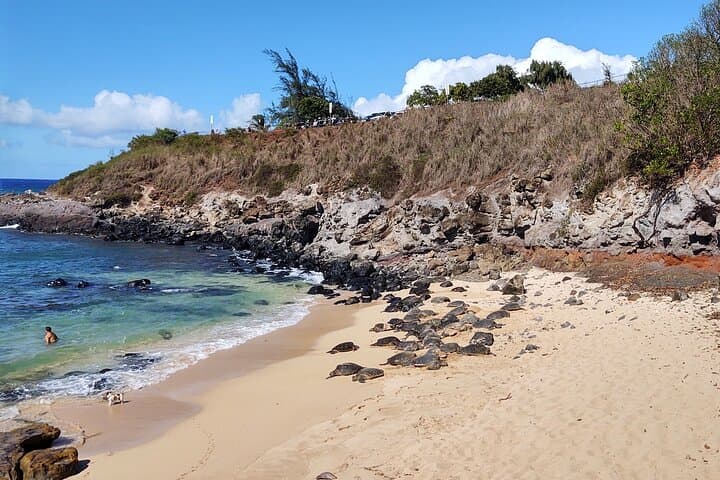 Halfway to Hana Private Tour — Black Sand Beaches, Waterfalls & Turtles from Kahului photo 6