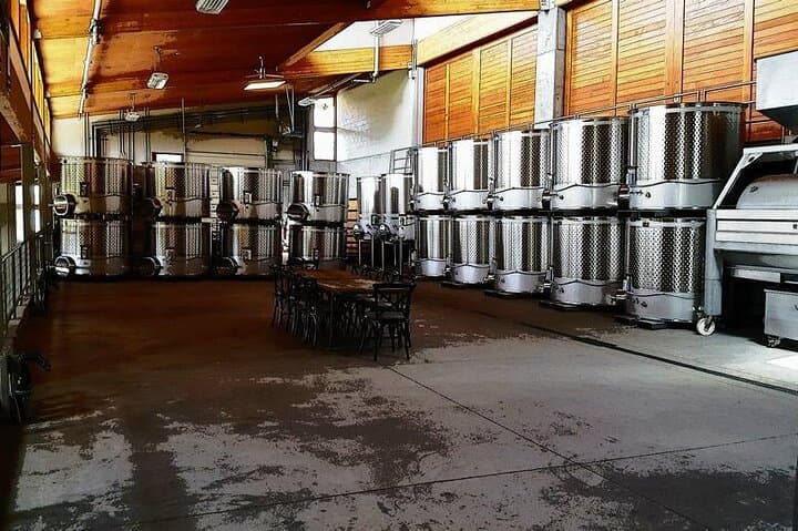 Private Willamette Valley Wine Tour from Portland — Day Trip to Oregon Pinot Country photo 3