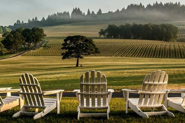 Private Willamette Valley Wine Tour from Portland — Day Trip to Oregon Pinot Country photo 5