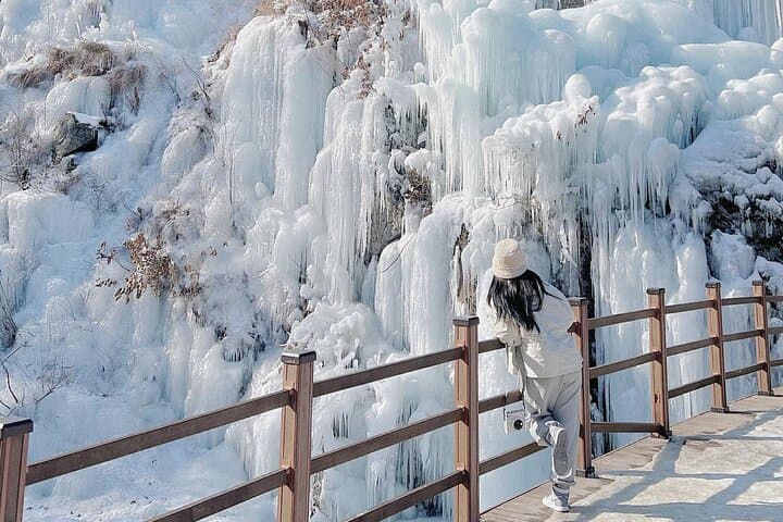 Day Trip from Seoul to Nami Island, Eobi Ice Valley & Alpaca World photo 6