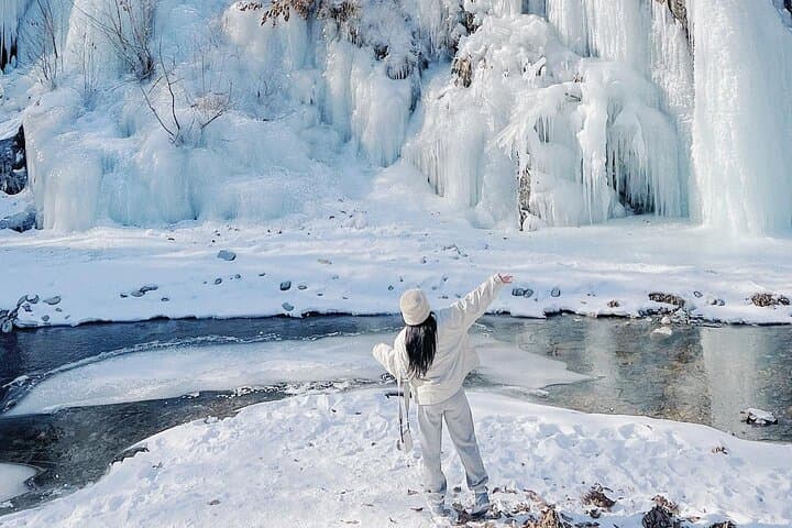 Full-Day Gapyeong Loop: Eobi Ice Valley, Alpaca World, Nami Island & The Garden of Morning Calm photo 4