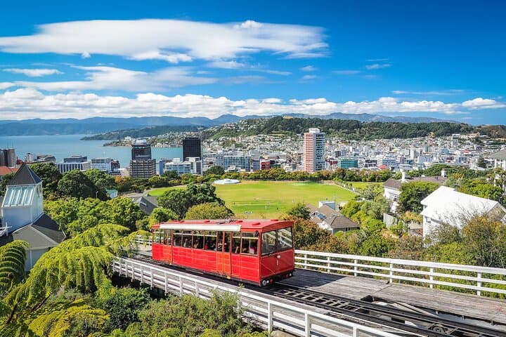 Full-Day Private Wellington Sightseeing Tour with Hotel Pickup