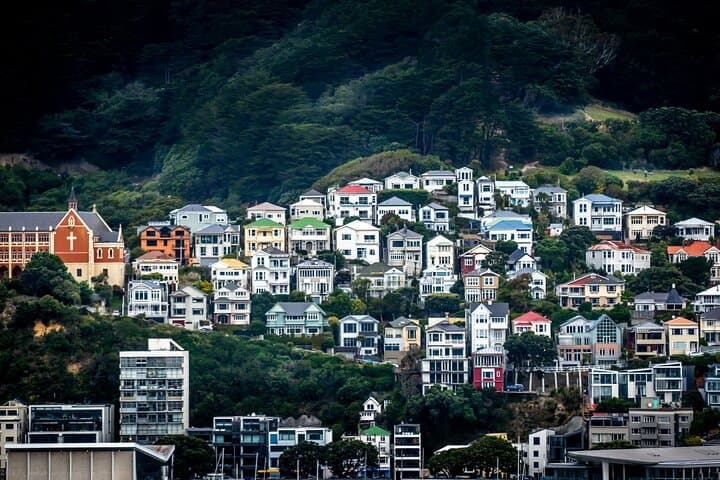 Full-Day Private Wellington Sightseeing Tour with Hotel Pickup photo 5
