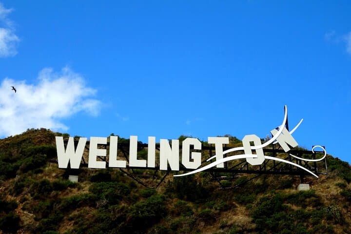 Full-Day Private Wellington Sightseeing Tour with Hotel Pickup photo 6