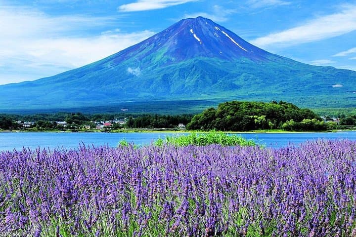 Mt Fuji Day Tour: Chureito Pagoda, Oshino Hakkai & Lake Kawaguchi Views photo 4