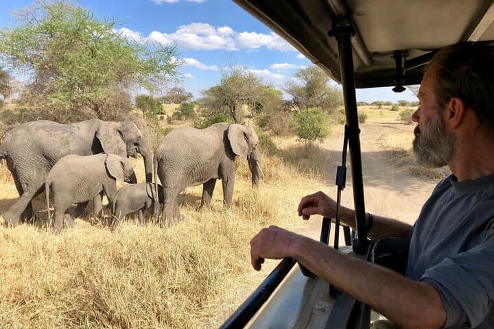 Great Migration & Ngorongoro Wonders: 5-Day Northern Tanzania Safari photo 4