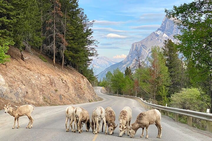 Best of Banff: Moraine Lake, Lake Louise & Minnewanka Day Tour photo 2
