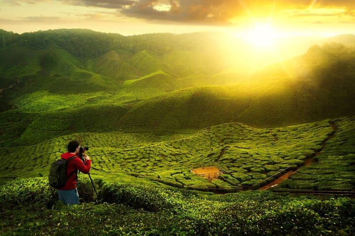 Cameron Highlands Private Nature Day Trip from Kuala Lumpur photo 3
