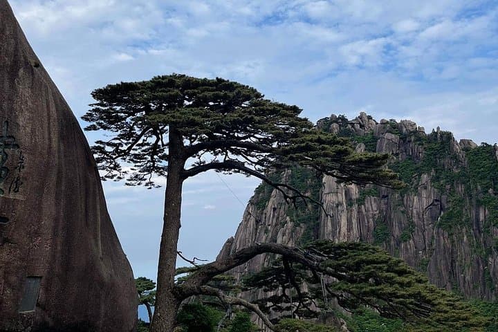 One-Day Huangshan (Yellow Mountain) Tour: Cable Car Hike to Lion Peak photo 3