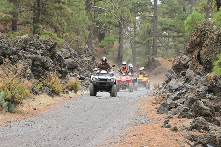 Forest Quad Safari in South Tenerife: 4-Hour Off‑Road Adventure