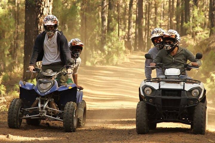 Forest Quad Safari in South Tenerife: 4-Hour Off‑Road Adventure photo 3