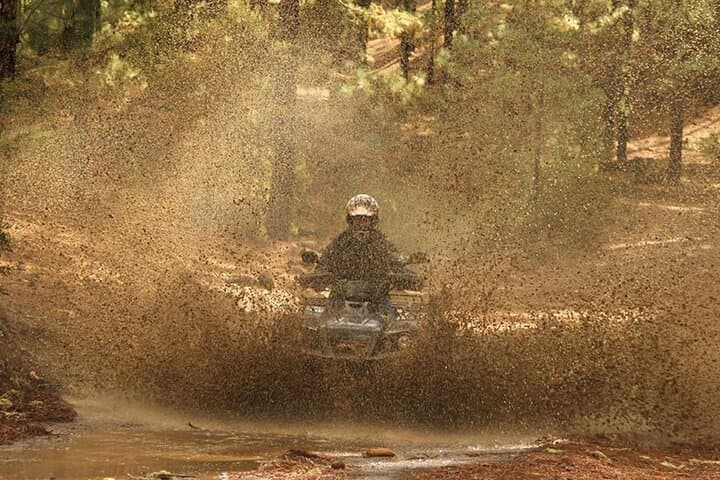 Forest Quad Safari in South Tenerife: 4-Hour Off‑Road Adventure photo 6