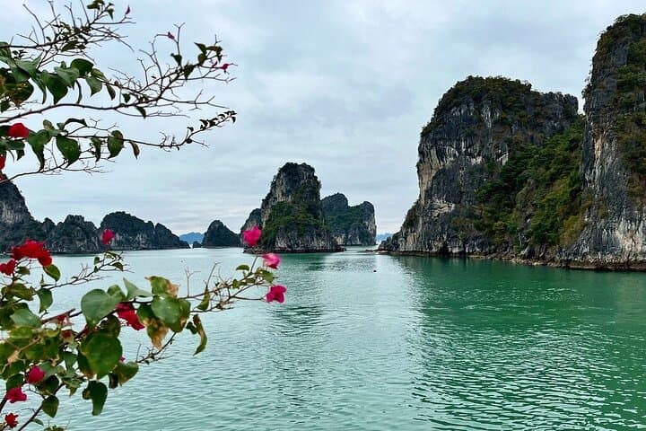 Bai Tu Long Bay 2-Day Overnight Cruise from Hanoi: Kayak, Cave & Floating Villages
