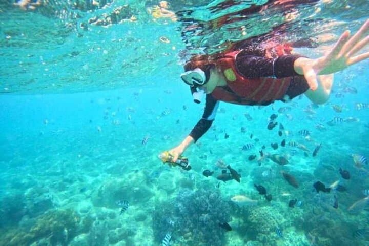 Mun Island Snorkeling — Nha Trang Day Trip to Coral Reefs and Fishing Village photo 2
