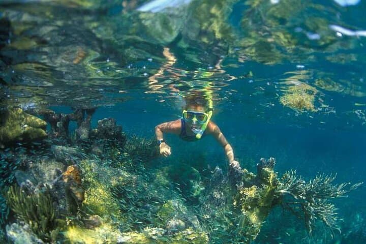 Mun Island Snorkeling — Nha Trang Day Trip to Coral Reefs and Fishing Village photo 5