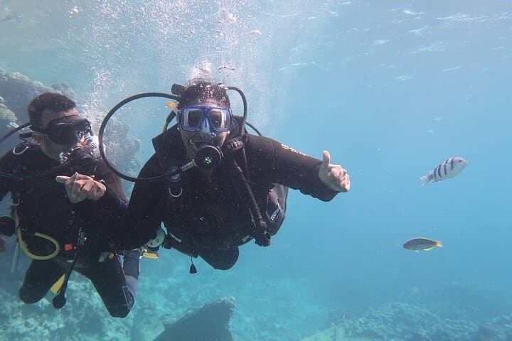 Hurghada Full-Day Scuba: Two Reefs, Instructor-Led Dives on the Red Sea