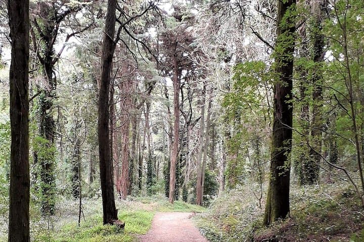 Private Sintra-Cascais Hike with Traditional Grilled Lunch and Guincho Dunes photo 2