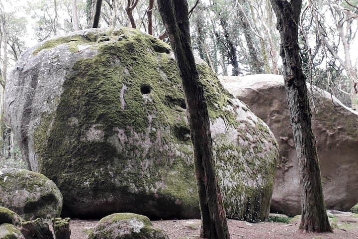 Private Sintra-Cascais Hike with Traditional Grilled Lunch and Guincho Dunes photo 4