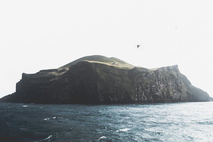 Hike Eldfell and Meet the Puffins: Private Westman Islands Day Tour from Reykjavík photo 3
