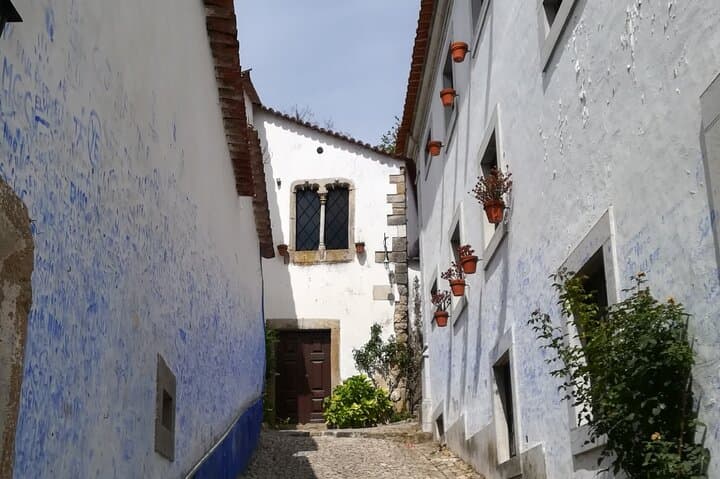 Private Day Tour to Nazare, Obidos & Alcobaça: Big Waves, Medieval Streets and a UNESCO Monastery photo 3