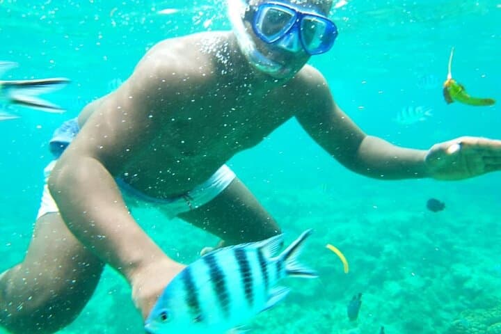 Nungwi Dolphin and Turtle Swim: Snorkel, Seafood Lunch & Sunset Dhow Cruise photo 2