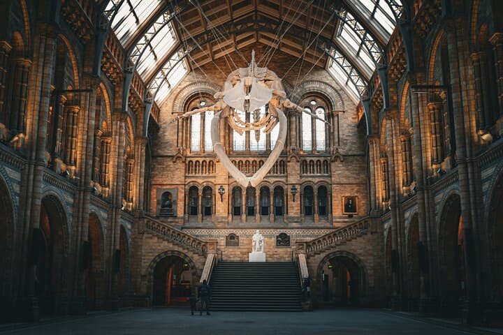 Guided Natural History Museum Walking Tour — London Insights & Practical Tips