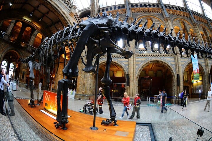 Guided Natural History Museum Walking Tour — London Insights & Practical Tips photo 3