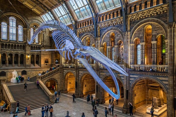 Guided Natural History Museum Walking Tour — London Insights & Practical Tips photo 4