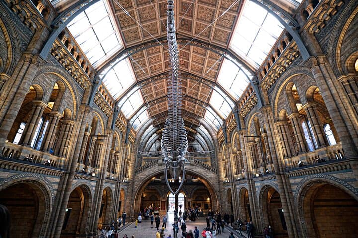 Guided Natural History Museum Walking Tour — London Insights & Practical Tips photo 5