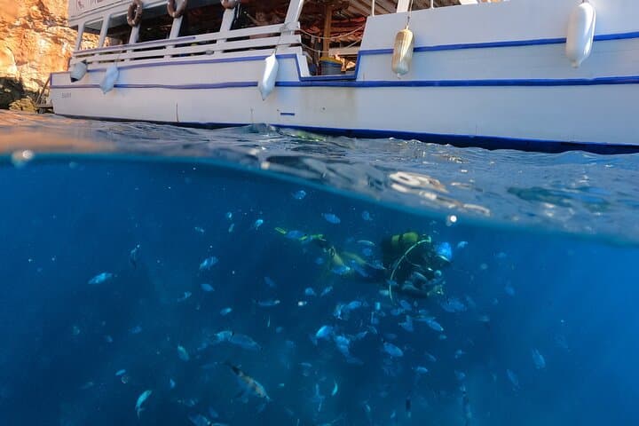 Guided Scuba Dives in Alanya: Two Boat Dives with Lunch from Side photo 5