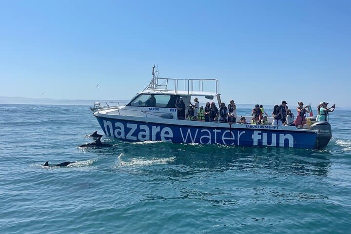 Nazaré Cetacean & Canyon Boat Tour — Whale Watching and Praia do Norte Views