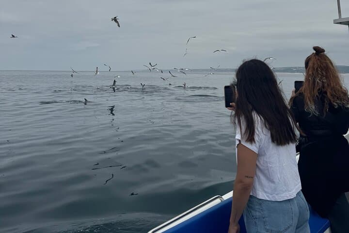 Nazaré Cetacean & Canyon Boat Tour — Whale Watching and Praia do Norte Views photo 2