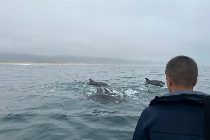 Nazaré Cetacean & Canyon Boat Tour — Whale Watching and Praia do Norte Views photo 3