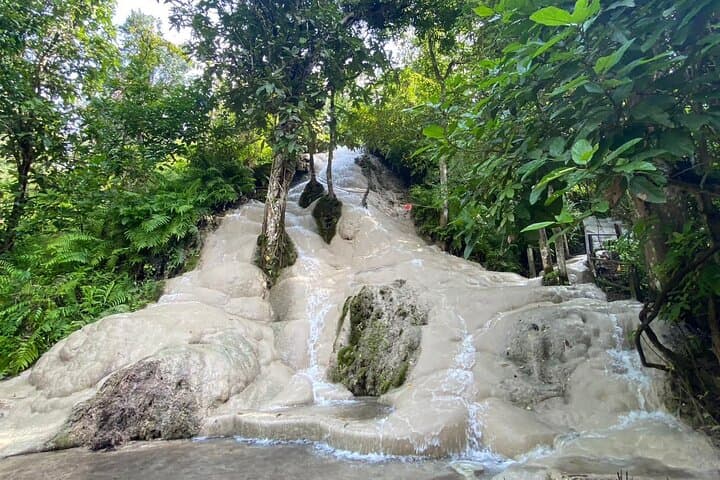 Half-Day Chiang Mai Sticky Waterfall (Bua Tong) Adventure with Hotel Transfer