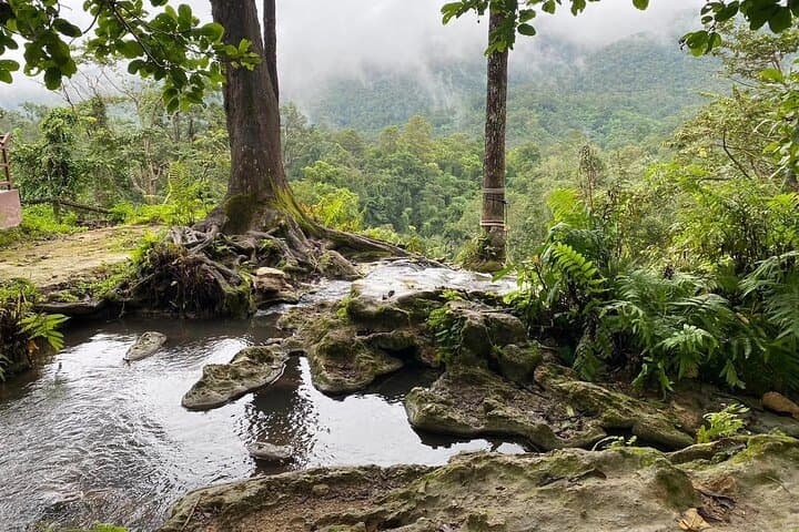 Half-Day Chiang Mai Sticky Waterfall (Bua Tong) Adventure with Hotel Transfer photo 4