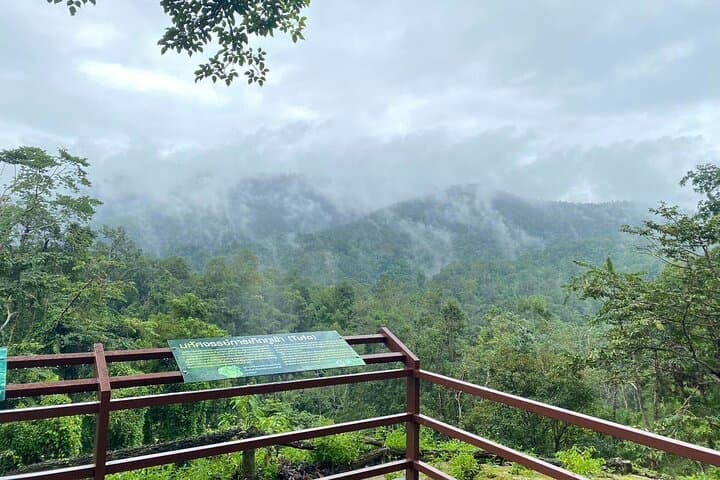 Half-Day Chiang Mai Sticky Waterfall (Bua Tong) Adventure with Hotel Transfer photo 5