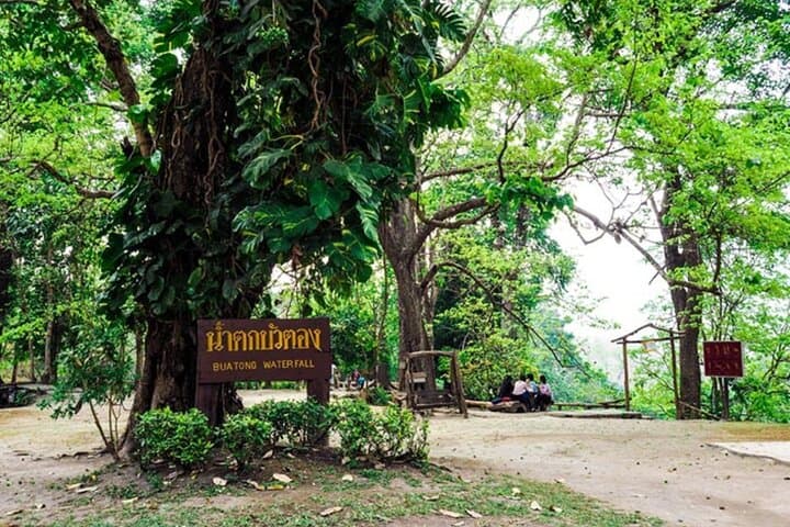 Half-Day Chiang Mai Sticky Waterfall (Bua Tong) Adventure with Hotel Transfer photo 6