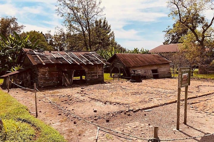 Laura Plantation Half-Day Tour from New Orleans — River Road Creole History photo 2