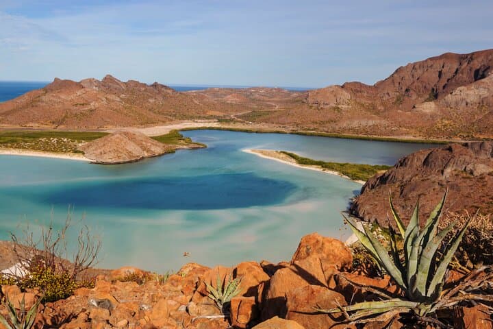 La Paz Paradise: Balandra Beach Boat Tour to El Tecolote & Todos Santos photo 2