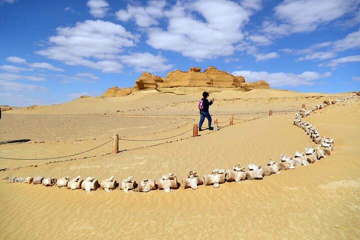 Fayoum Oasis Day Trip: Wadi Al-Hitan, Qarun Lake & Wadi El Rayan Waterfalls photo 4