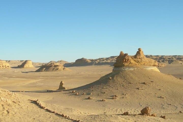 Fayoum Oasis Day Trip: Wadi Al-Hitan, Qarun Lake & Wadi El Rayan Waterfalls photo 6