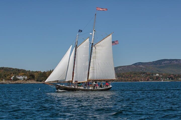 Schooner Surprise Day & Sunset Sails from Camden, Maine photo 6