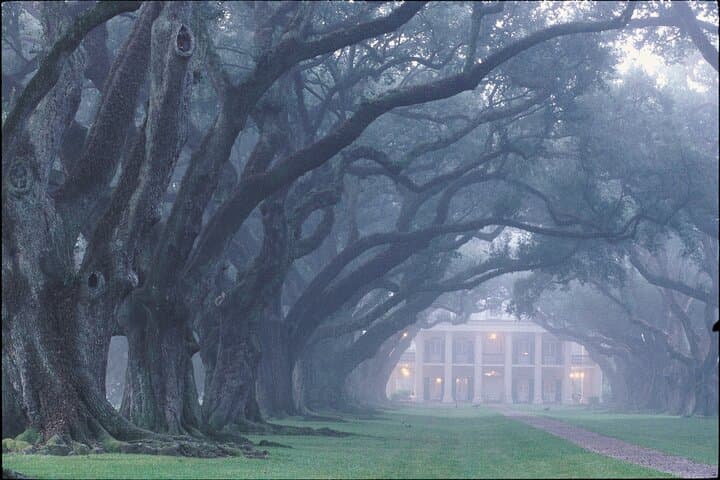 Oak Alley Plantation Guided Half-Day Tour from New Orleans photo 5