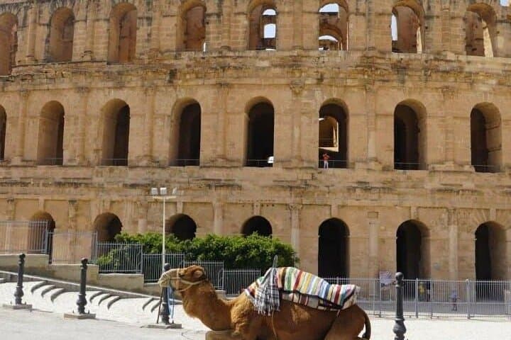 2-Day Private Zaghouan, Kairouan & Sbeitla Tour from Hammamet photo 4