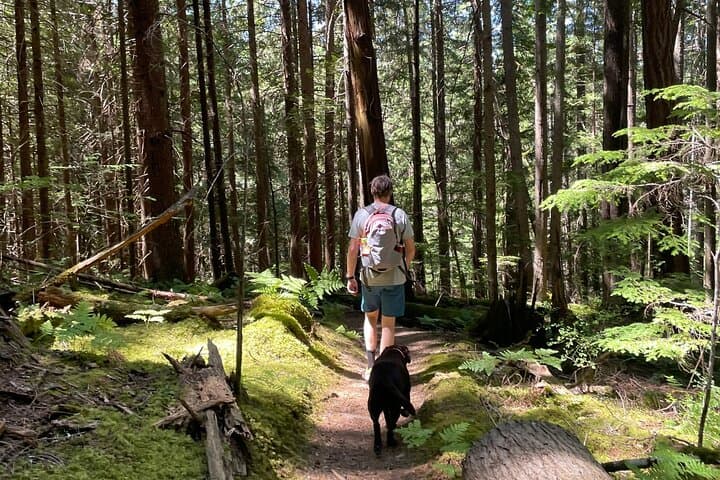 Vancouver Panoramic Snowshoeing Hike — North Shore 360° Views photo 3