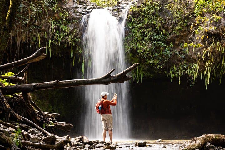 East Maui Waterfalls and Rainforest Hike on the Road to Hana photo 2