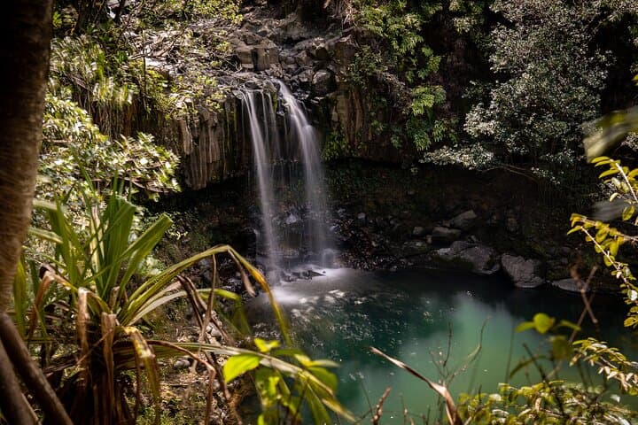 East Maui Waterfalls and Rainforest Hike on the Road to Hana photo 5